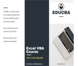 Online Learning Program: One Excel VBA Bundle